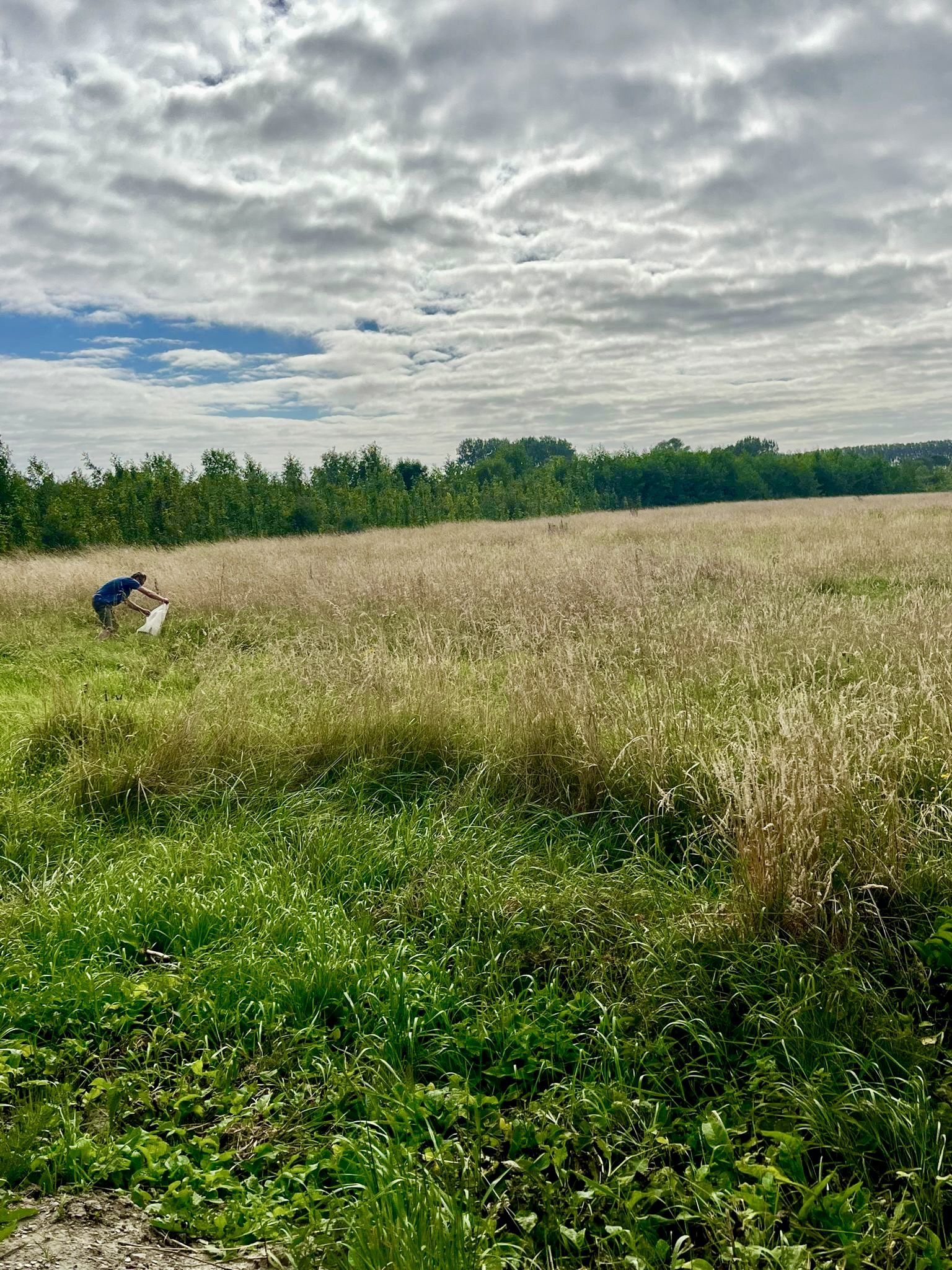 42f454c3-f0b8-429b-9938-8c910a7281d1-kopie